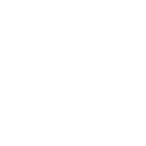 ساعت مچی زنانه آیس واچ 4895173302237