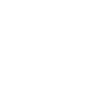 ساعت مچی زنانه آیس واچ 4895164082049