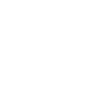 ساعت مچی زنانه آیس واچ 4895164090006