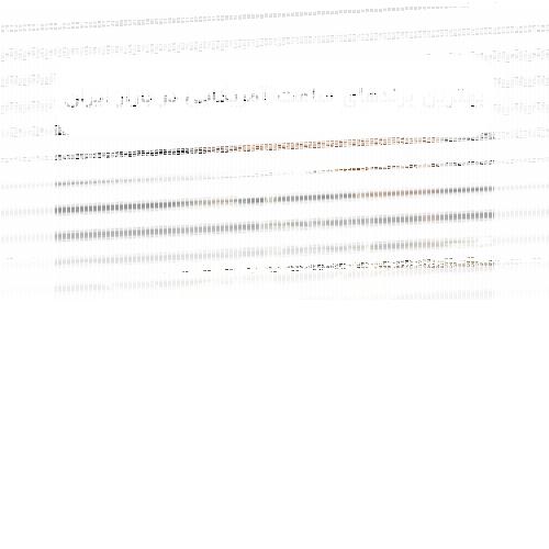 بهترین برندهای ساعت آمریکایی در بازار ایران: انتخابی هوشمندانه برای شیک‌پوشان